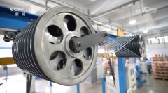 核心 突围拓展多元市场中国外贸企业“两条腿”